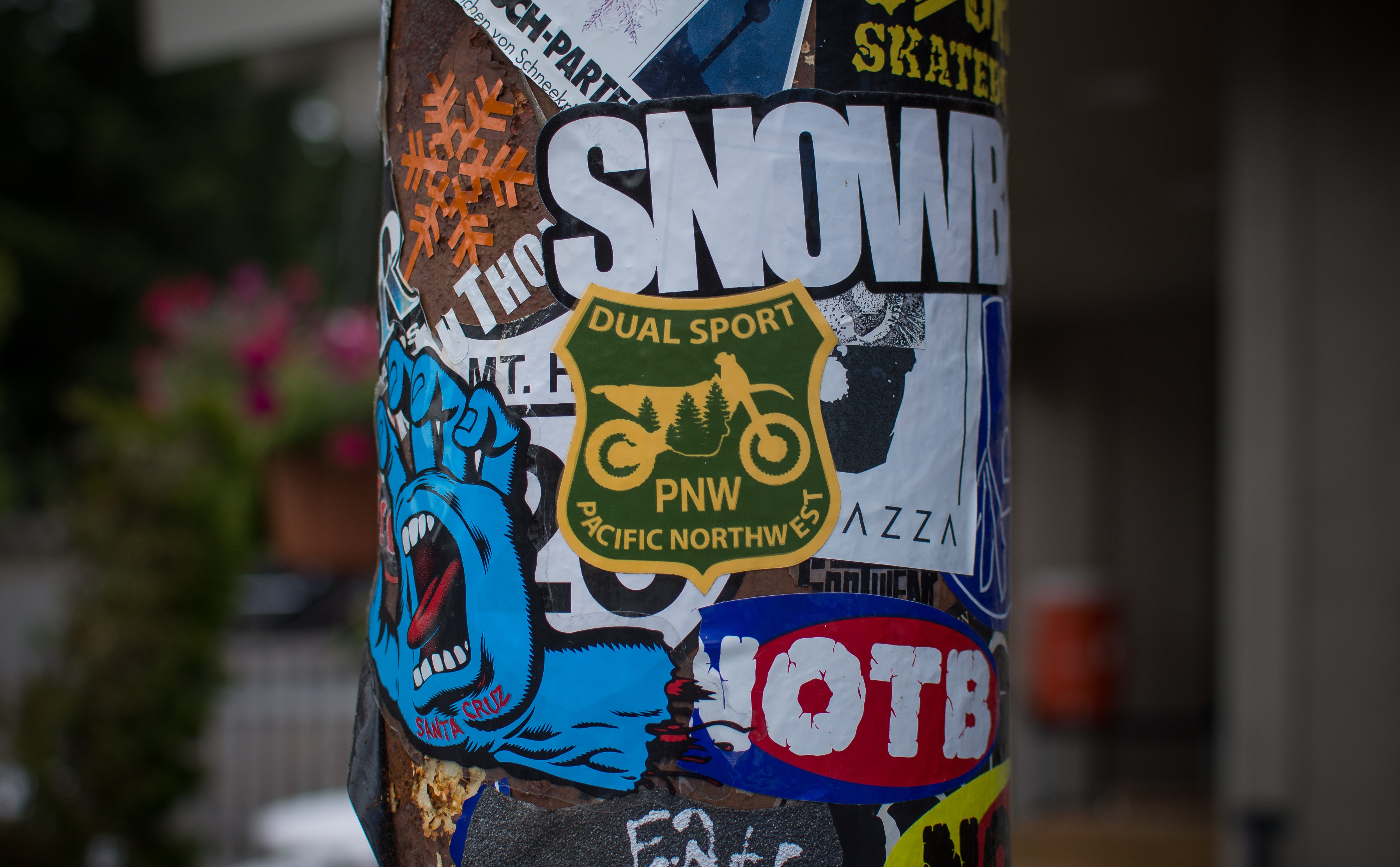 PNWDS Decal Pack